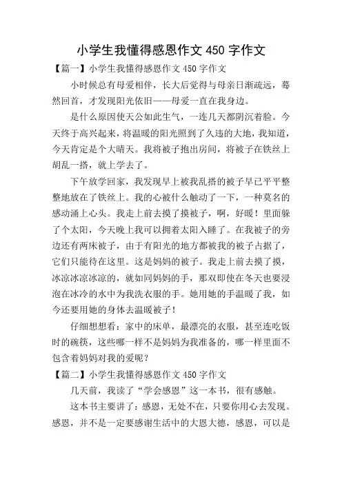小学生我懂得感恩作文450字作文