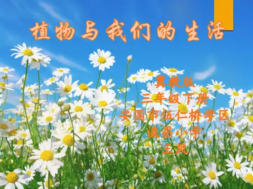 三年级下植物和我们的生活 冀人版