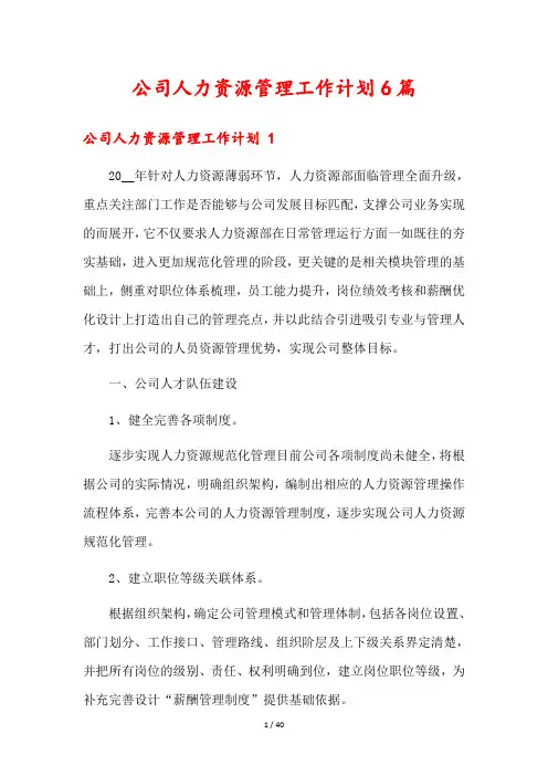 公司人力资源管理工作计划6篇