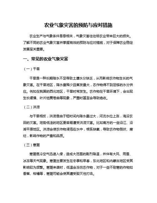 农业气象灾害的预防与应对措施