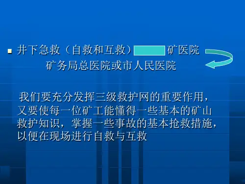 矿山救护基本学习.ppt