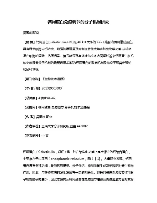 钙网蛋白免疫调节的分子机制研究