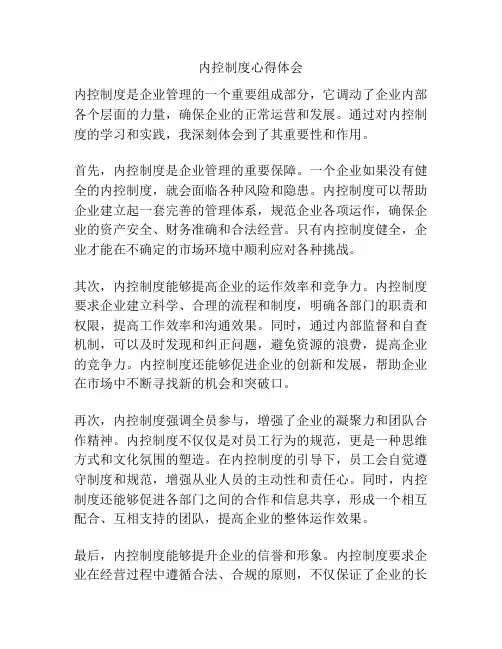 内控制度心得体会
