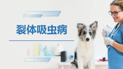 犬猫的寄生虫病(裂体吸虫病)-宠物医生课件