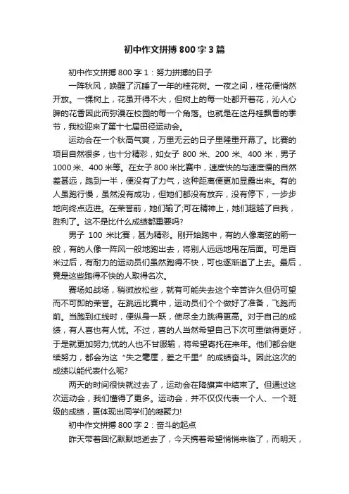 初中作文拼搏800字3篇