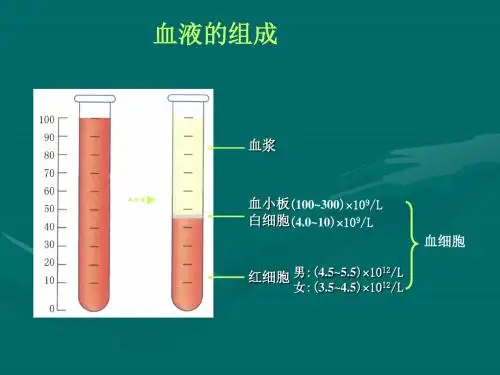 3结缔组织〈3〉