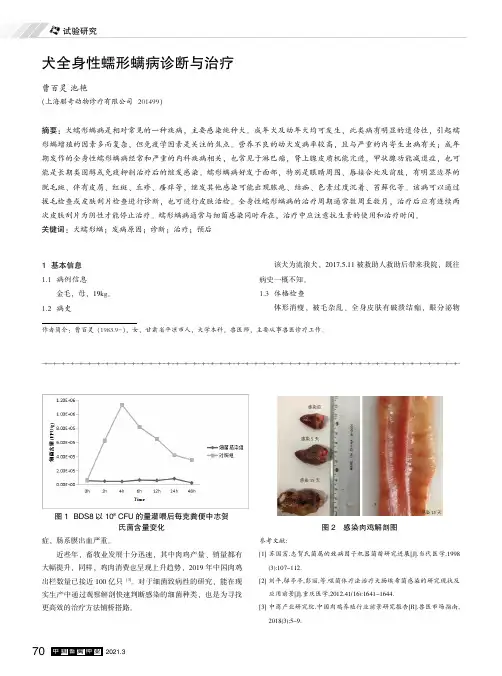 犬全身性蠕形螨病诊断与治疗