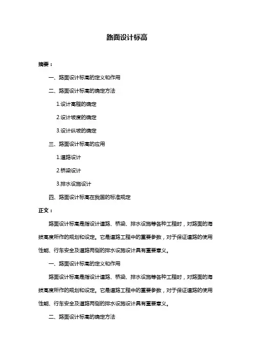路面设计标高