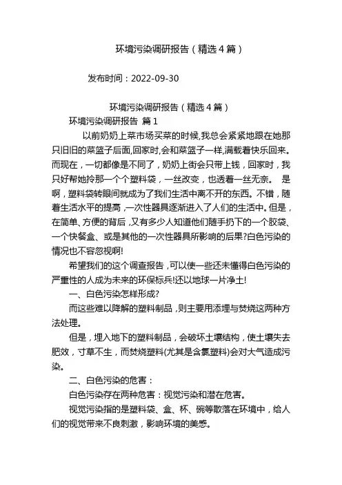 环境污染调研报告(精选4篇)