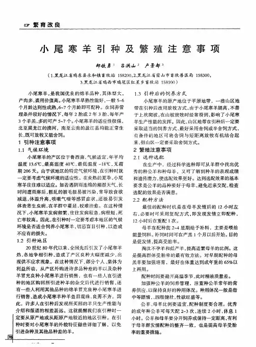 小尾寒羊引种及繁殖注意事项