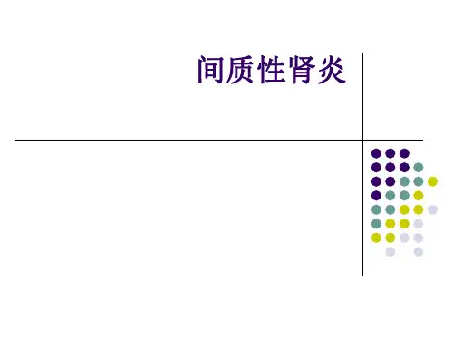 内科学间质性肾炎(3)