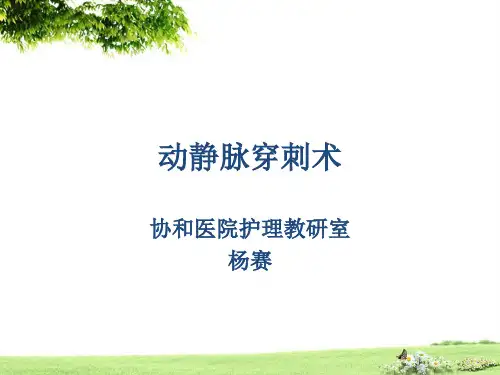 动静脉穿刺术--杨赛——临床技能模拟训练课件PPT