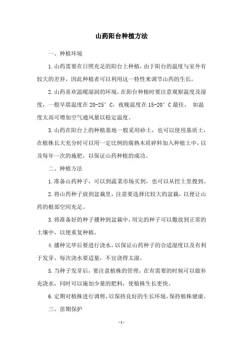山药阳台种植方法