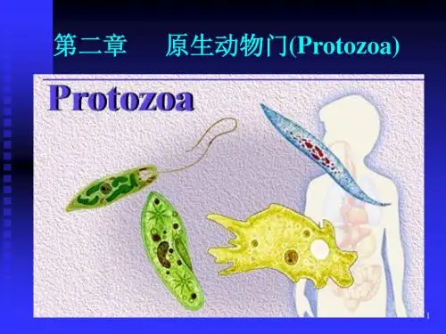 第一章 原生动物门