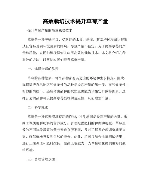 高效栽培技术提升草莓产量