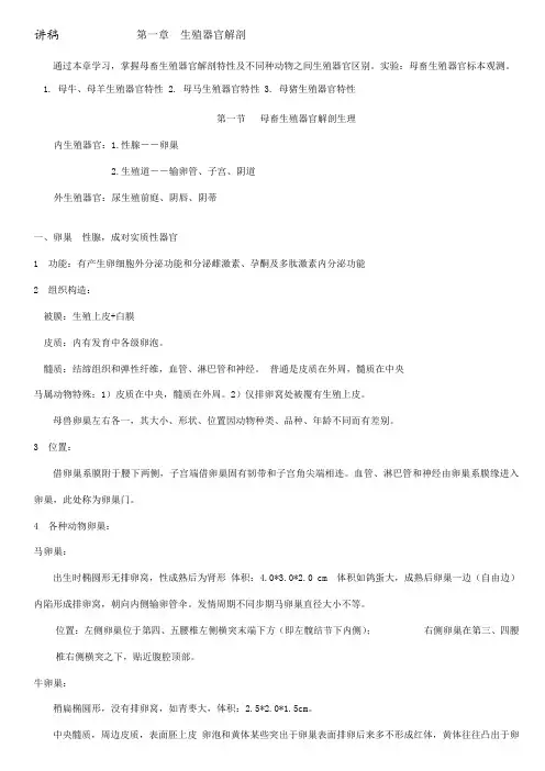 2021年兽医产科学家畜生殖器官解剖