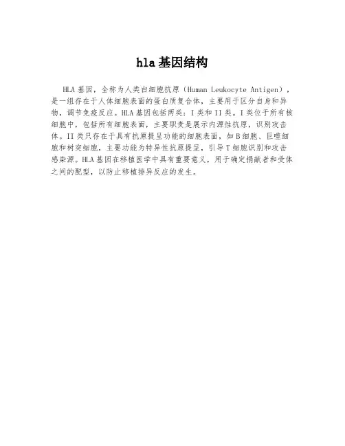 hla基因结构