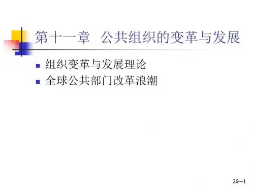 公共组织的变革与发展ppt课件