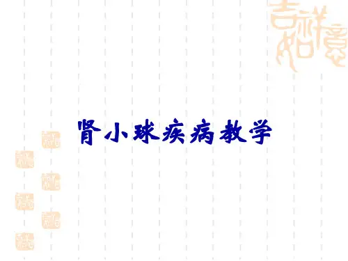 肾小球疾病教学
