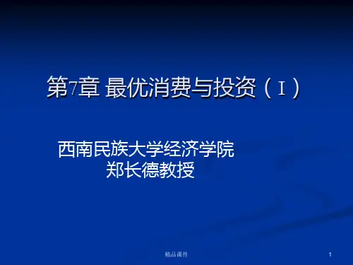 最优消费与投资IPPT课件