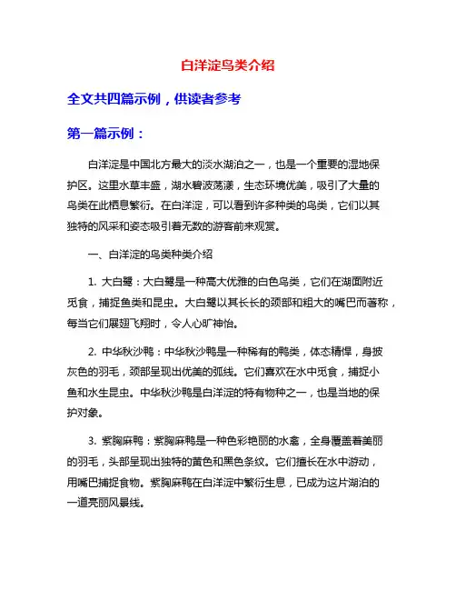 白洋淀鸟类介绍