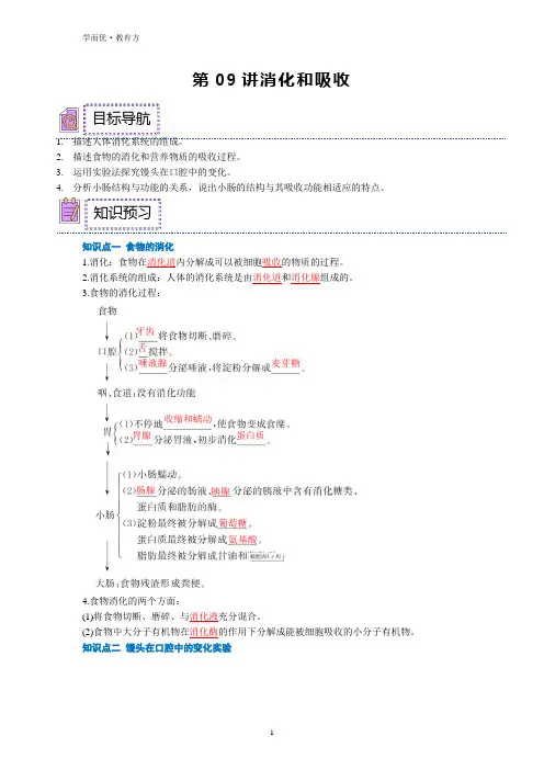 【寒假预习课】《消化和吸收》(解析版)