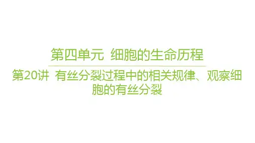 人教版高考生物学复习课件 必修1 分子与细胞 第20讲 有丝分裂过程中的相关规律、观察细胞的有丝分裂