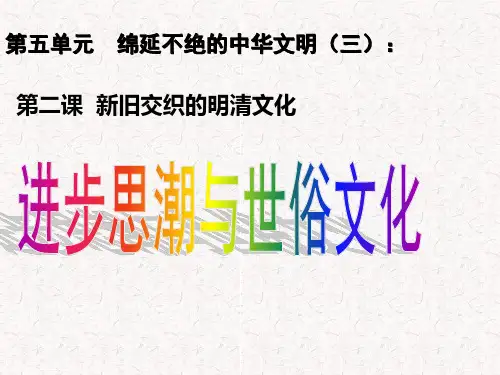 进步思潮与世俗文化-精PPT优秀课件