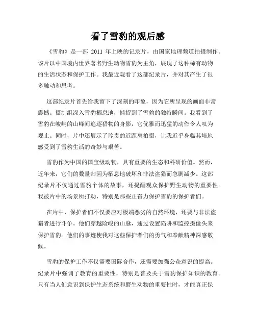 看了雪豹的观后感