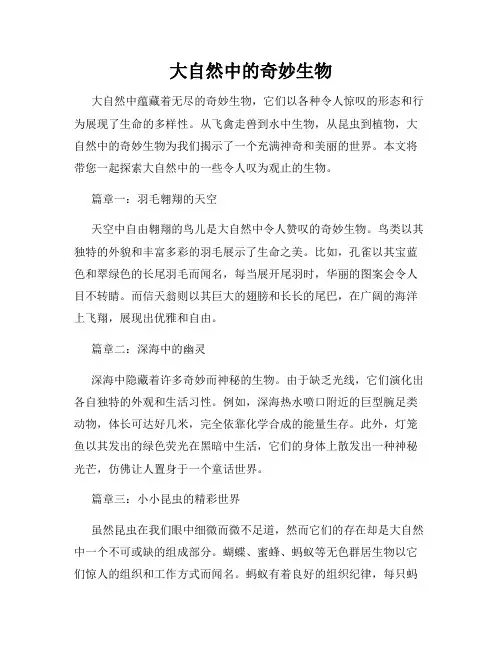大自然中的奇妙生物