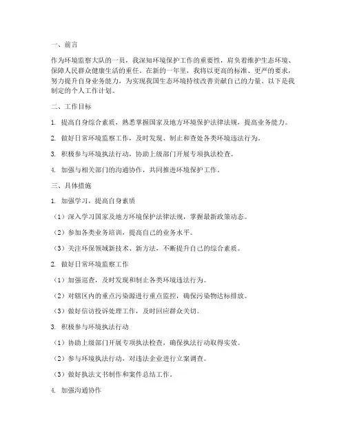 环境监察大队个人工作计划
