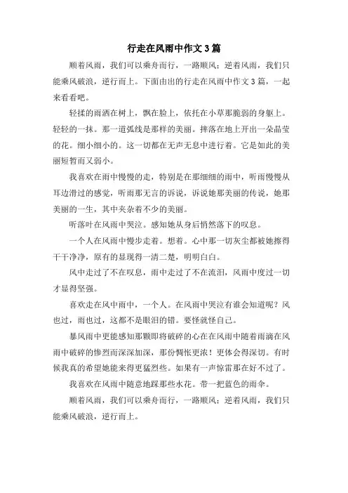 行走在风雨中作文3篇