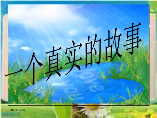 一个真实的故事PPT课件