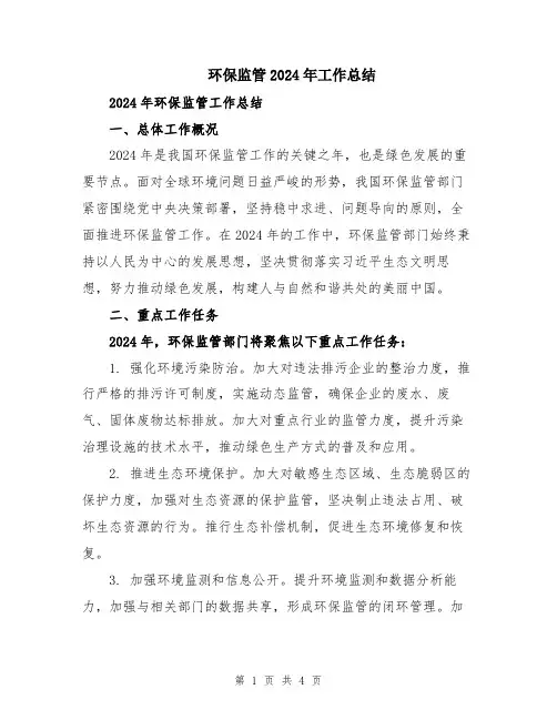 环保监管2024年工作总结