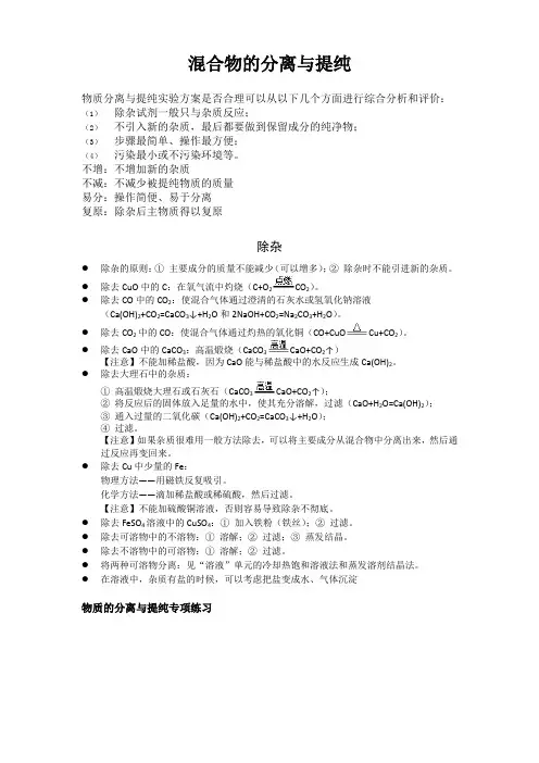 1人教版初中化学九年级除杂专题