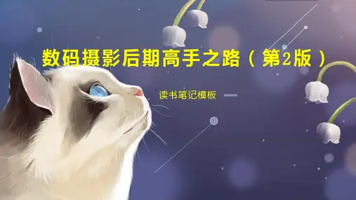 数码摄影后期高手之路(第2版)