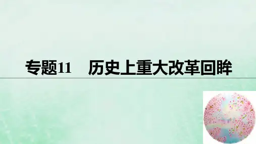 2019届全国版高考历史总复习板块四选考部分专题11历史上重大改革回眸讲义