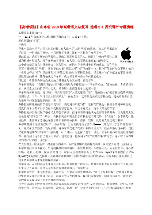 【高考领航】山东省高考语文总复习 选考2 3 探究课外专题演练