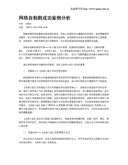网络自制剧成功案例分析
