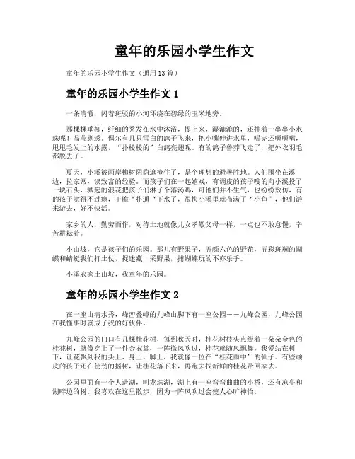童年的乐园小学生作文