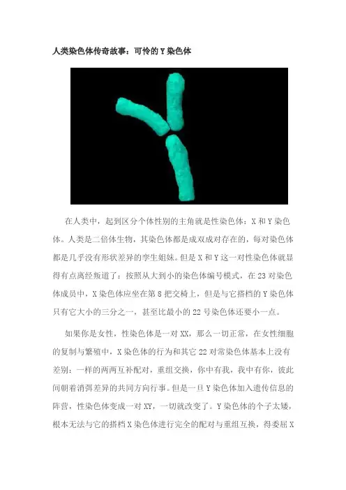 人类染色体的传奇故事-可怜的Y染色体