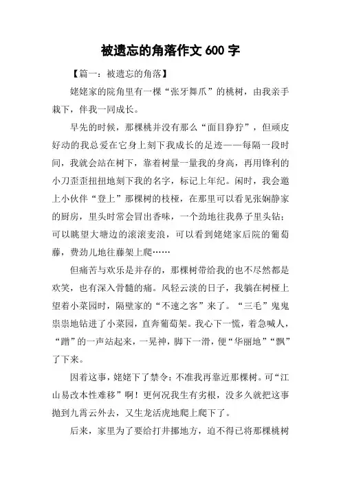 被遗忘的角落作文600字