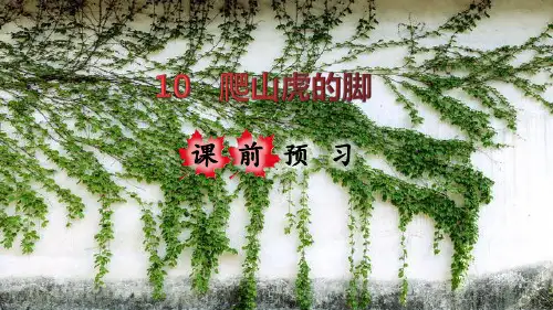 部编版小学四年级语文上册第10课《爬山虎的脚》优质课件(共192张PPT)