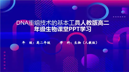 DNA重组技术的基本工具人教版高二年级生物课堂PPT学习