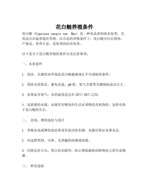花白鲢养殖条件