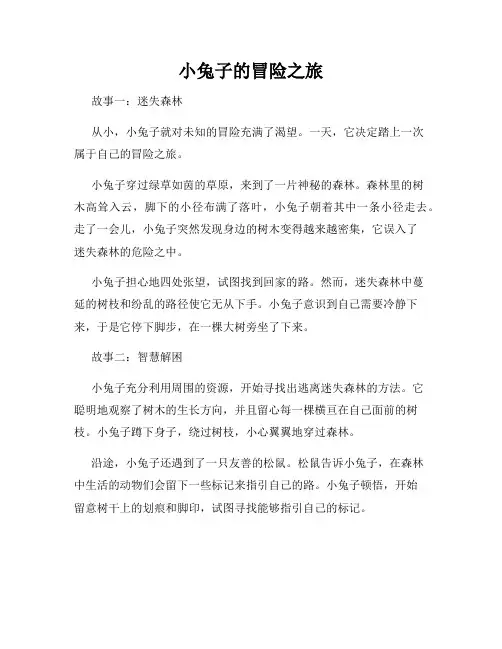 小兔子的冒险之旅