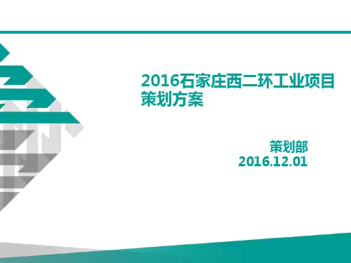 某工业项目策划方案(PPT 46张)
