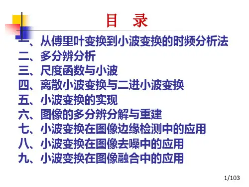 小波变换入门.ppt