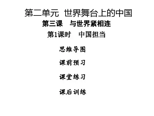 部编版九年级道德与法治下册第三课PPT习题课件