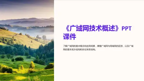 《广域网技术概述》课件